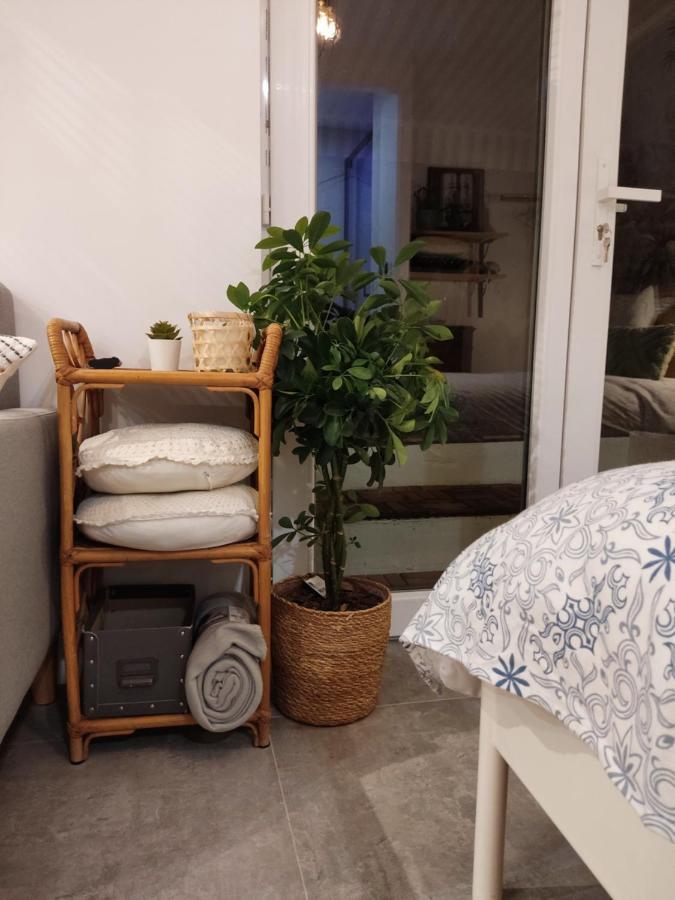 Superbe Appartement Avec Jacuzzi Avec Jardin Prive 里昂 外观 照片