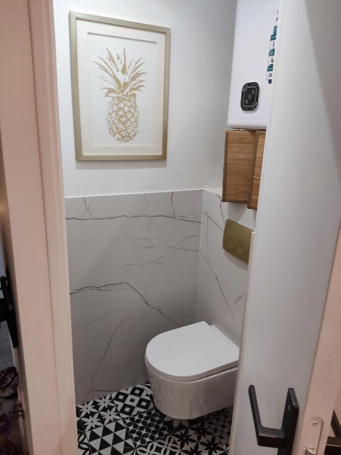 Superbe Appartement Avec Jacuzzi Avec Jardin Prive 里昂 外观 照片