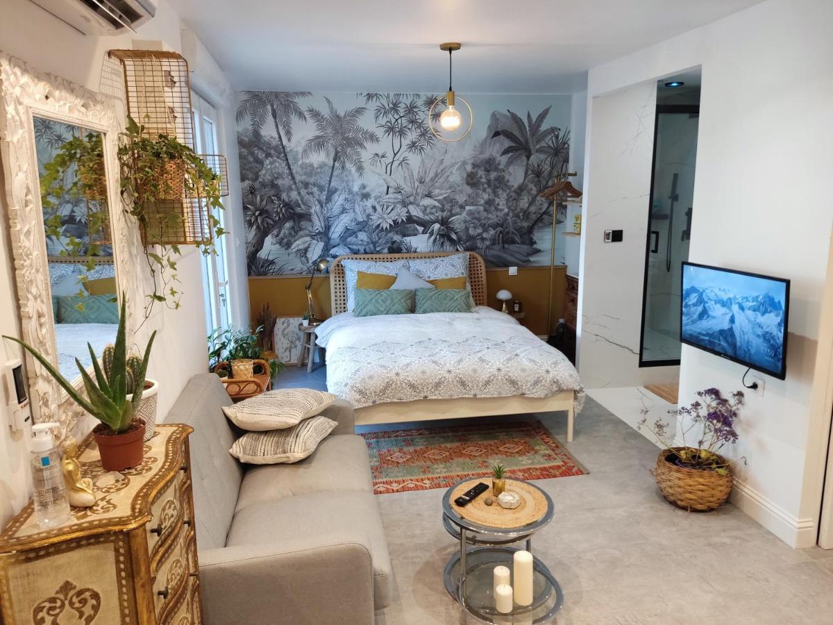 Superbe Appartement Avec Jacuzzi Avec Jardin Prive 里昂 外观 照片