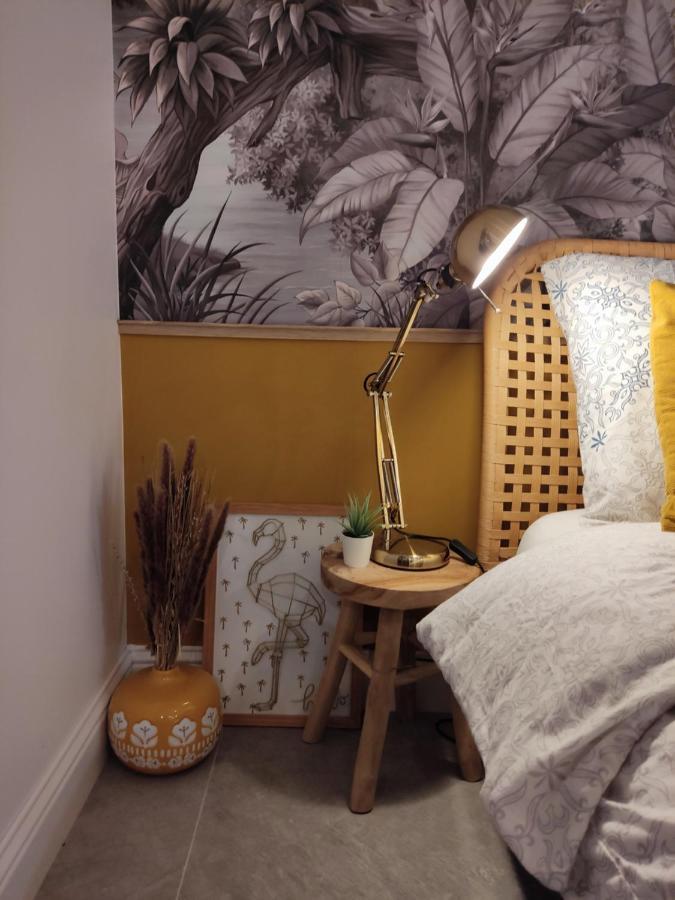 Superbe Appartement Avec Jacuzzi Avec Jardin Prive 里昂 外观 照片